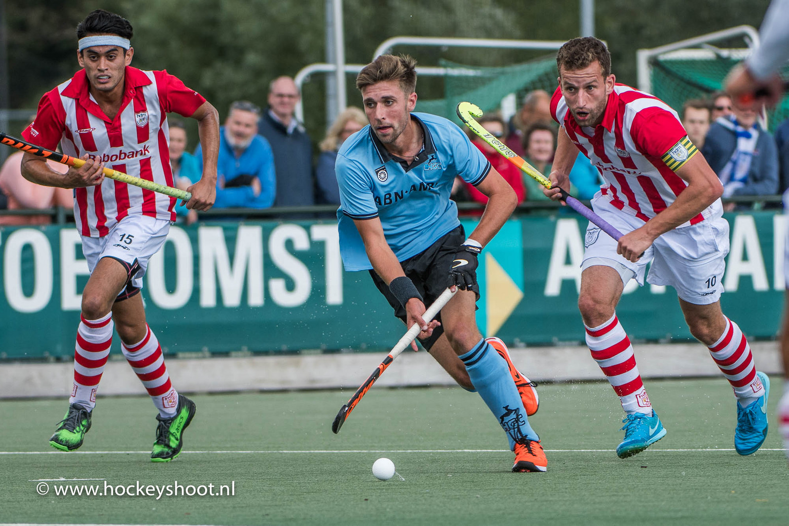 HGC H1-hdm H1